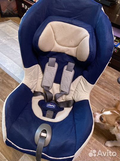 Автокресло chicco
