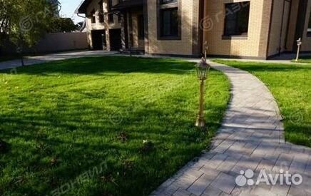 Газон рулонный