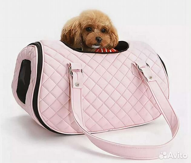 Карманные мальтипу