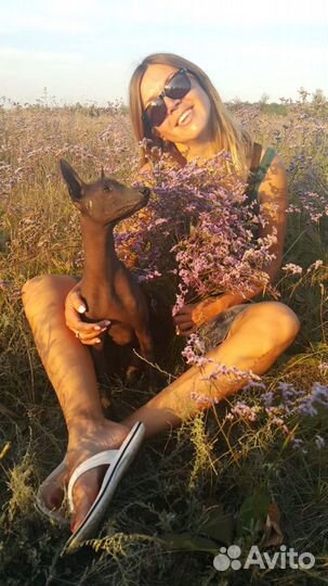 Душевная передержка вашего питомца)