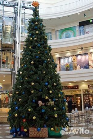 Аренда елки