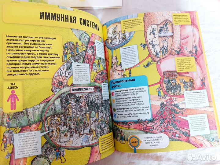 Детские энциклопедии для мальчиков. Новые