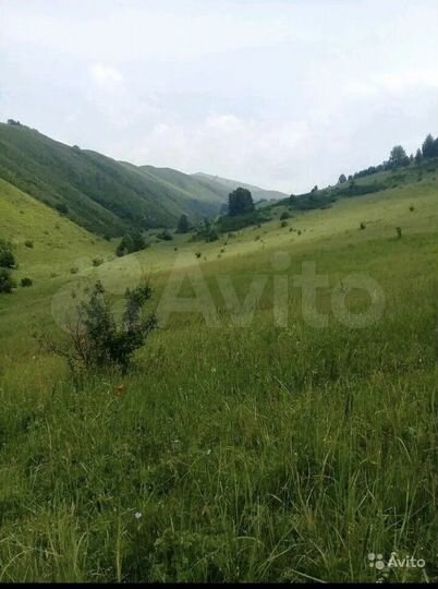 Участок 70 га (СНТ, ДНП)