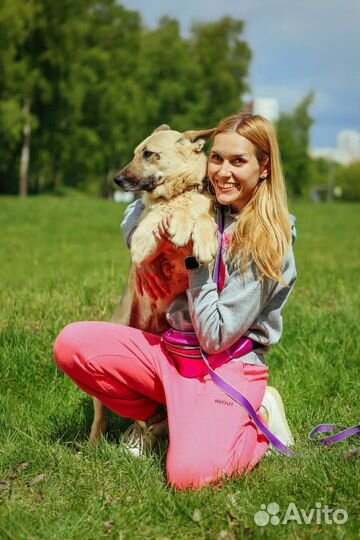 Овчарка красотка Звездочка в дар