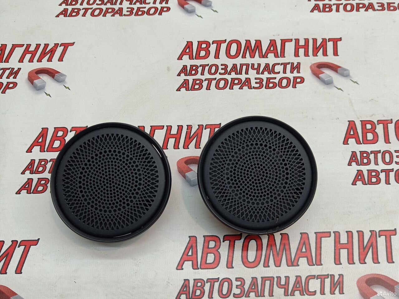 Динамик торпедо парприза Voyah Dream