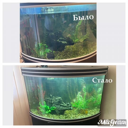 Чистка аквариума (уход и обслуживание)