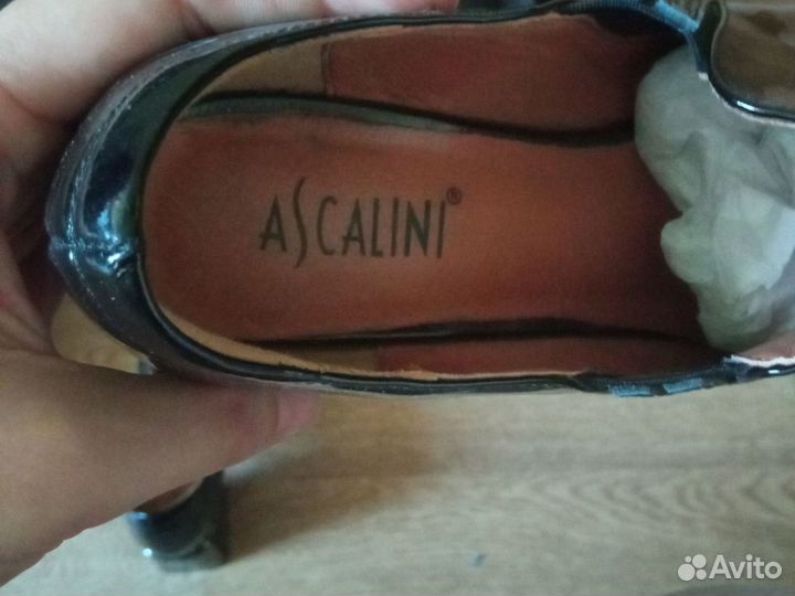 Полуботинки ascalini, размер 43