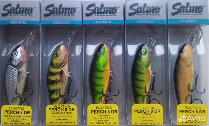 Salmo Perch 8DR - HGS/HOP/HP/PH