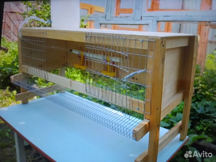 Клетки для перепелов