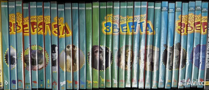Обучающие Dvd диски