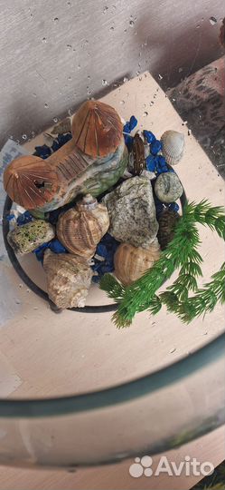 Аквариум с рыбками