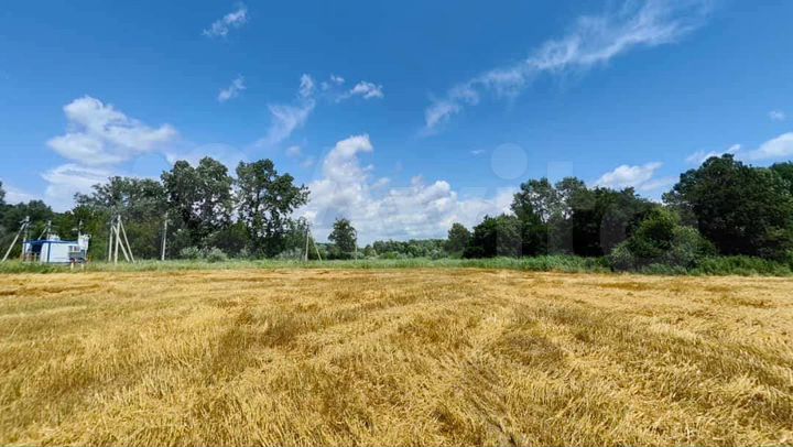 Участок 3,7 га (СНТ, ДНП)