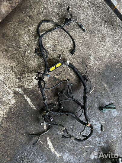 Daewoo nexia N150 жгут проводов на эбу