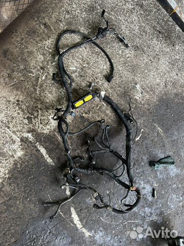 Daewoo nexia N150 жгут проводов на эбу