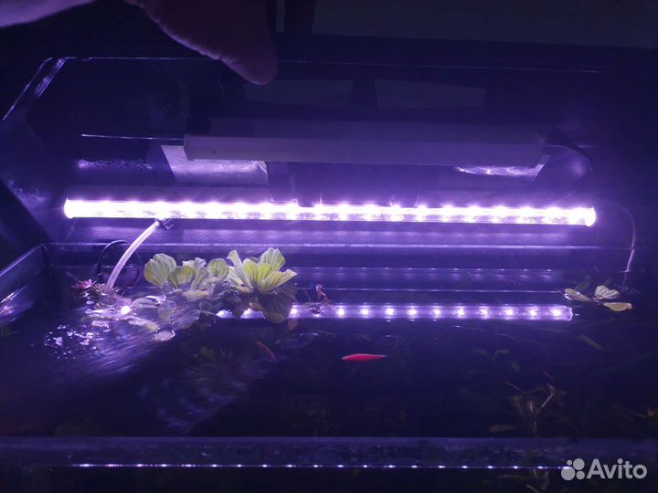 Аквариум 70 литров