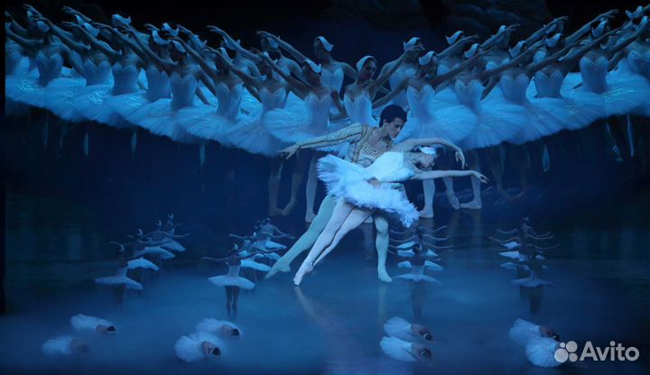 Билеты в большой театр Лебединое озеро