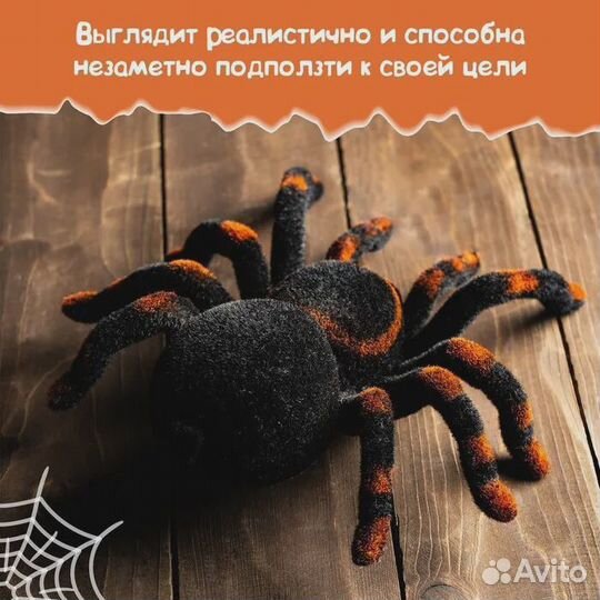 Паук радиоуправляемый 