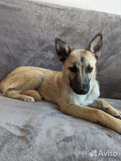 Молодая девочка очень нуждается в семье