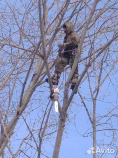 Спил деревьев.Расчистка,планировка участков