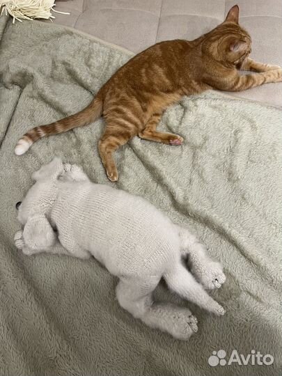 Щенок ручной вязки (Claire Garland)