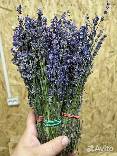 Крымская Лаванда