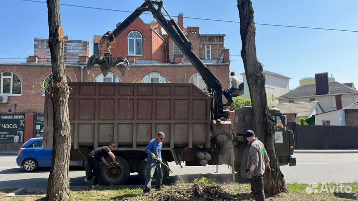 Спил деревьев.Расчистка участка.Копка котлована