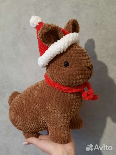 Милые зайки