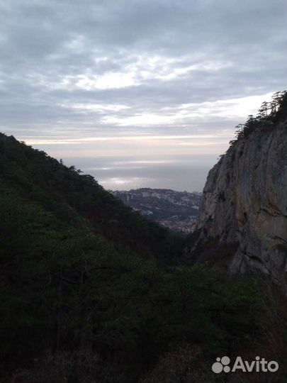 Гид-экскурсовод