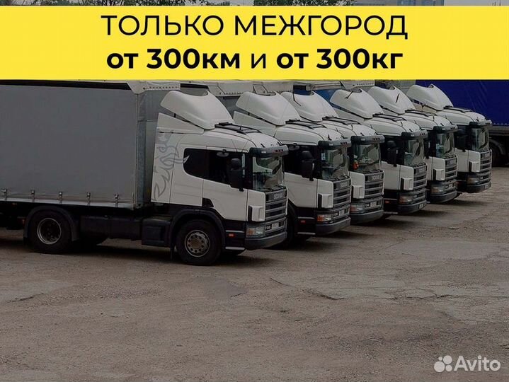 Грузоперевозки спецтехники тралом от 200 км