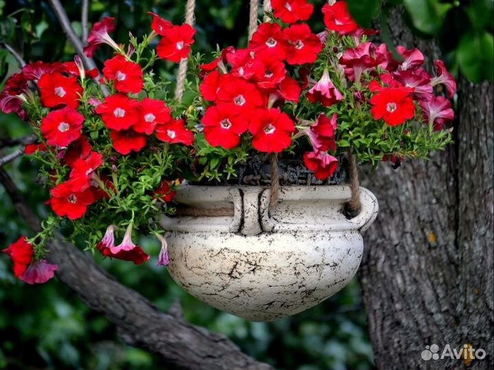 Кашпо подвесные