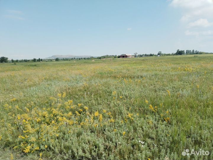 Продам сено в рулонах