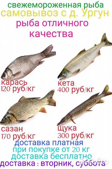 Свежая рыба красная