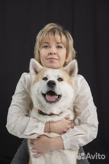 Грумер стрижка собак