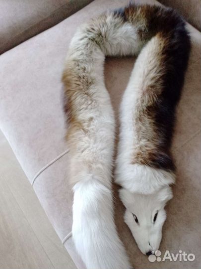 Меха, горжетки, шкурки