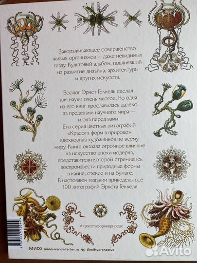 Книга красота форм в природе новая нон фикшн миф