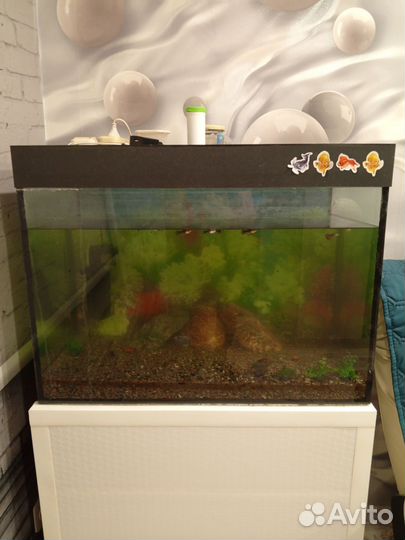 Аквариум