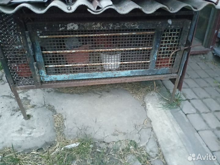 Продам клетки для кроликов