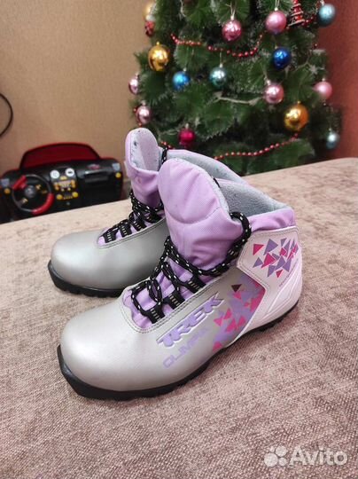 Лыжные ботинки