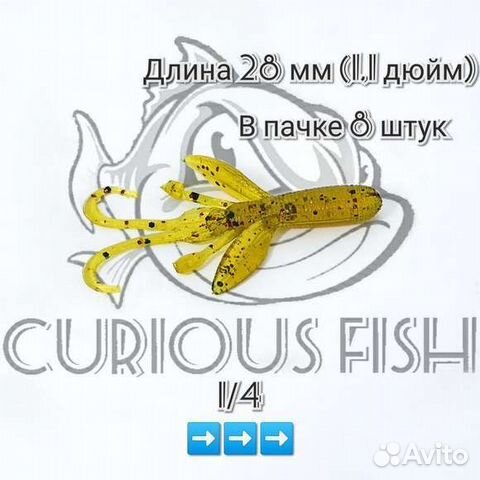 Curious Fish Dum Dum Hog - 1,1 дюйм (28мм с усами)