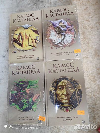 Книги Кастенеды, Рейнхарда