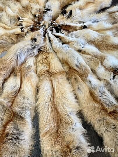 Шкуры лисы