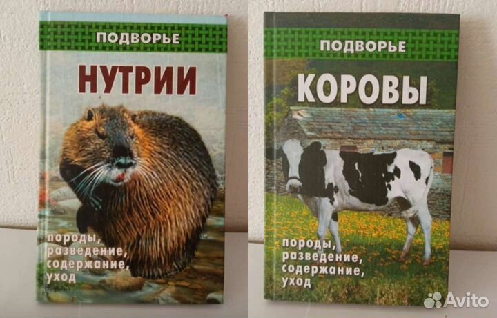 Животноводство, кинология
