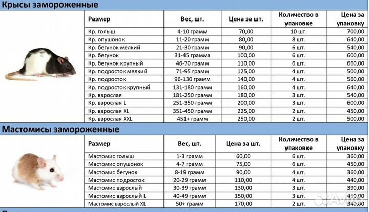 Мастомисы и крысы корм заморозка