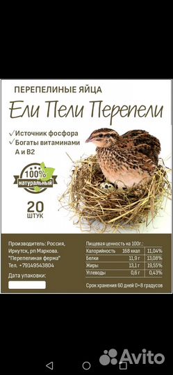 Перепелиное яйцо. Перепелки. перепела