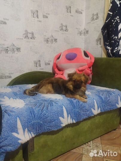 Мальчик ищет девочку