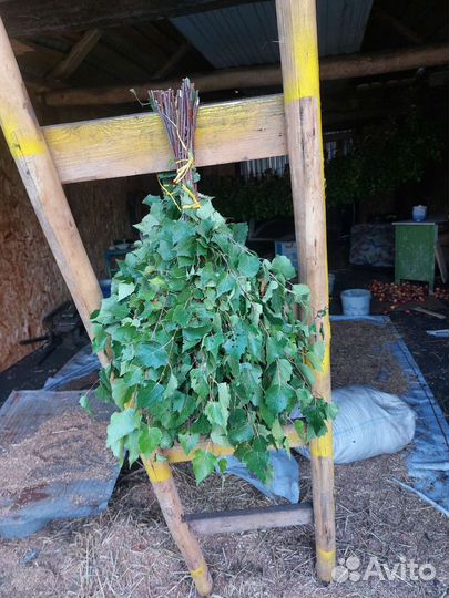 Веники для бани