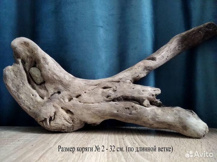 Дрифтвуд. Природный материал для аквариума