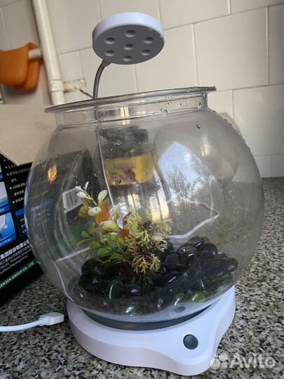 Продам два аквариума