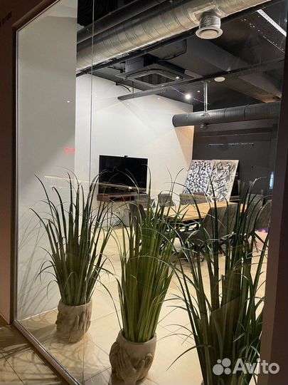 Зал в аренду/конференц