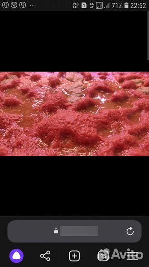 Трубочник Изя